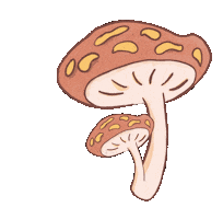 Art Sticker