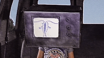 200.gif?cid=fc005b081627fc8e74d471b8932f7929958a14997eebce42&rid=200.gif&ct=g