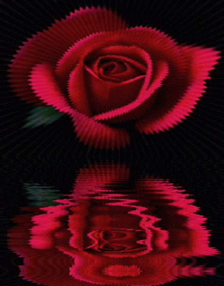 rose gif images