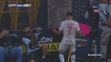 Dance GIF by TD Más