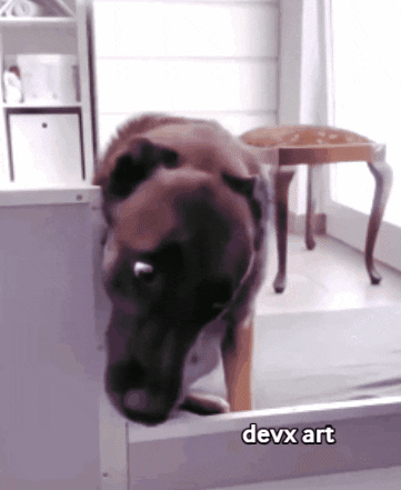 Scared Dog GIF by DevX Art
