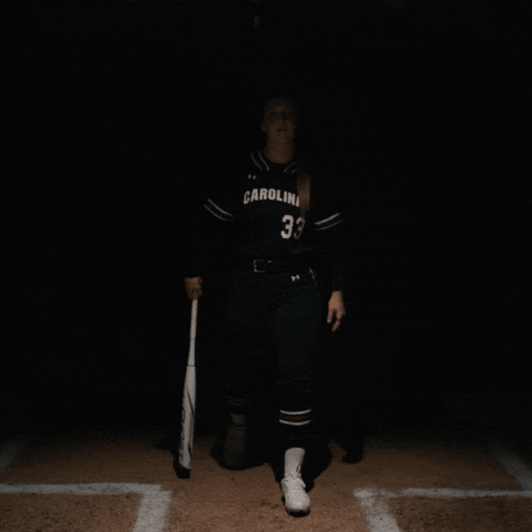 South Carolina Celebration GIF by Gamecock Athletics