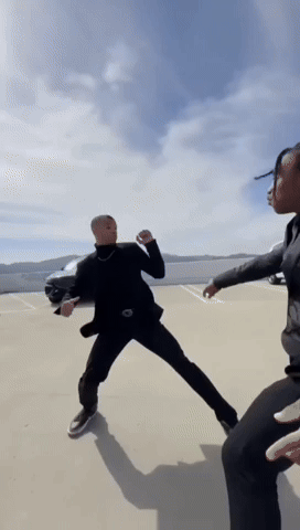 Peleas GIF