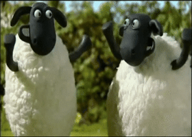 shaun sheeps GIF