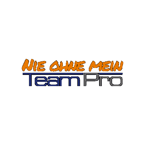 TeamProPersonaldienstleister Sticker