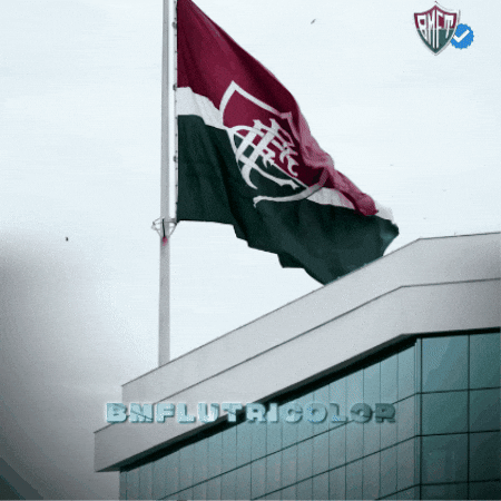 Fluminense GIF