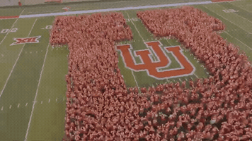 Utah Utes GIF by universityofutah