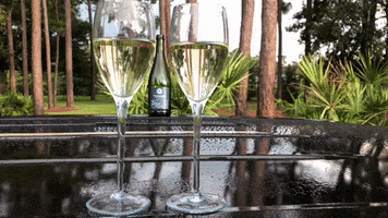Champagne Glass GIF by Bartini Orlando