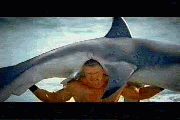 giphy.gif?cid=790b7611ca36e2d38a4c0e7e93407ba80ca7b7336d67981a&rid=giphy.gif