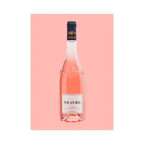 Berkmann Brasil Sticker