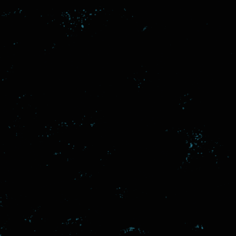 RepresentUs GIF