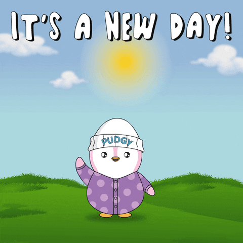 Im Up Good Morning GIF by Pudgy Penguins