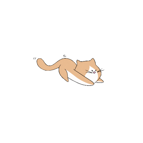 Cat Kitty Sticker