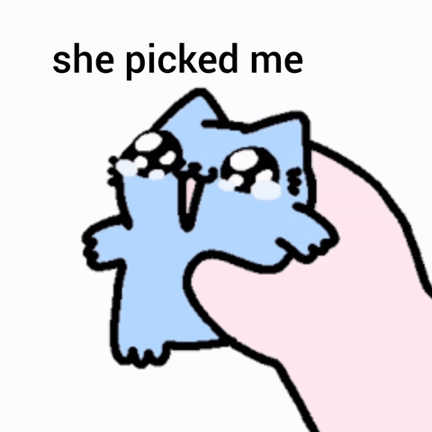 Cat Nub GIF