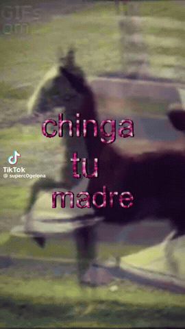 Caballo GIF