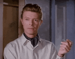 Incredulous David Bowie GIF