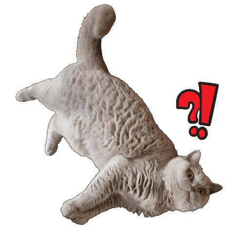 Reaction Sticker