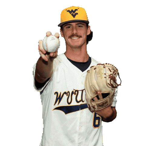 Baseball Sticker by WVU Tech Golden Bears