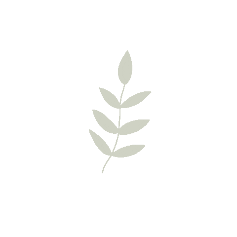 Leaf Singapore Sticker by zeeandelle