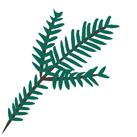 Green Beaver Sticker