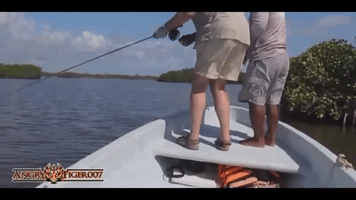 brettf90gmailcom  GIF