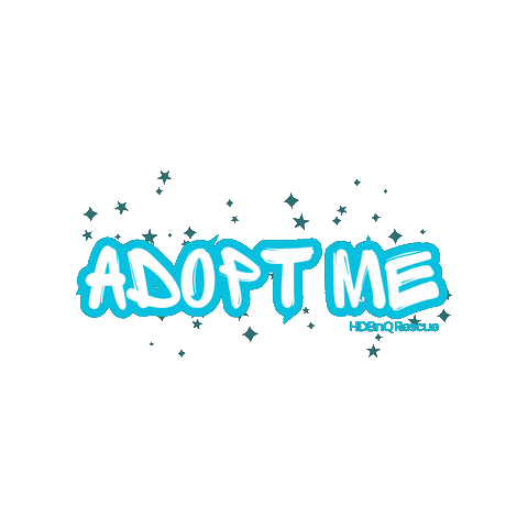Adopt Take Me Home Sticker by HDBnQ Rescue
