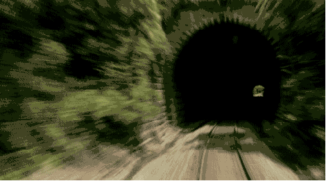renard-tunnel