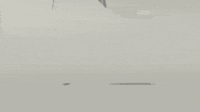 broken glass wine GIF