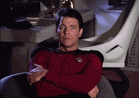 Star Trek Whatever GIF