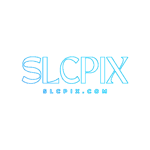 slcpix Sticker