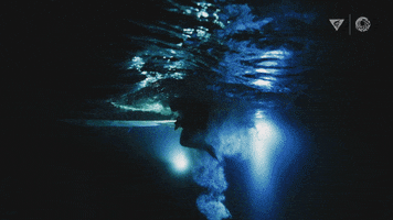 Deep Sea Night GIF by Monterey Bay Aquarium