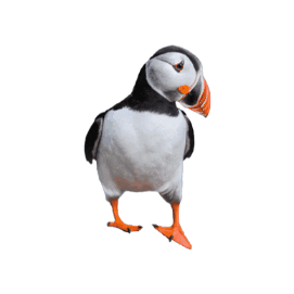 Kneissl Touristik Sticker