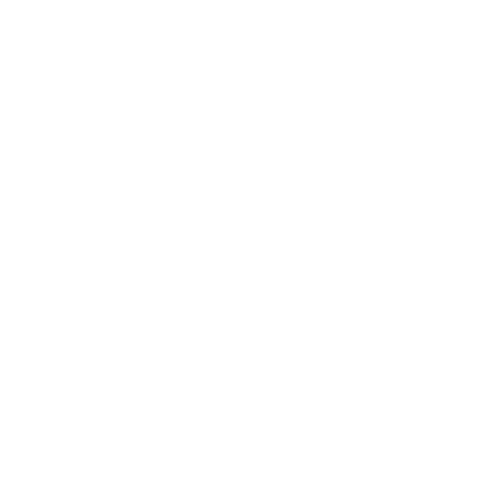 FEDERAZIONE ITALIANA CANOA KAYAK Sticker
