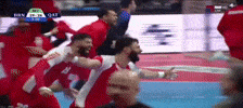 Ihf GIF