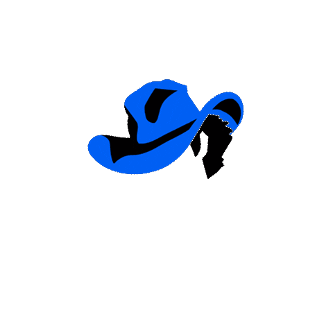 Cowboy Bebop Netflix Sticker by Instagram
