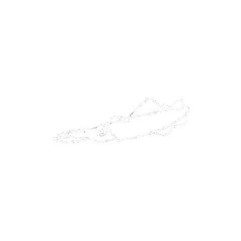 Squid Sticker