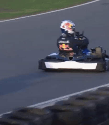 Max Verstappen GIF