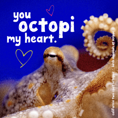 Happy Valentines Day GIF by Birch Aquarium at Scripps