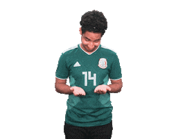 Mexico Sticker