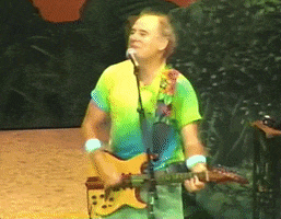 Happy Jimmy Buffet GIF by Justin