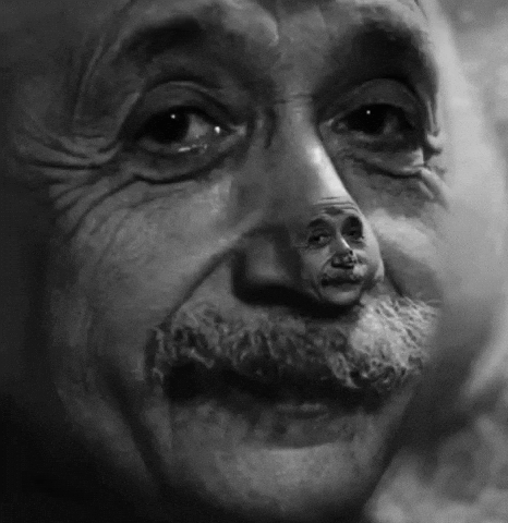 Albert Einstein Wtf GIF
