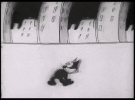 limonarias #felixthecat #wooswhopee GIF