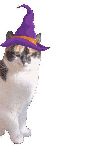 Cat Halloween Sticker by MutimBauch