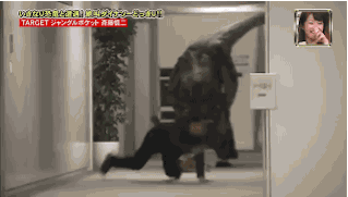 velociraptor GIF