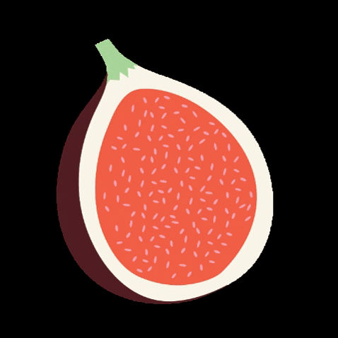 Austin Jam Company GIF