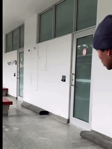 Plan B skateboards GIF