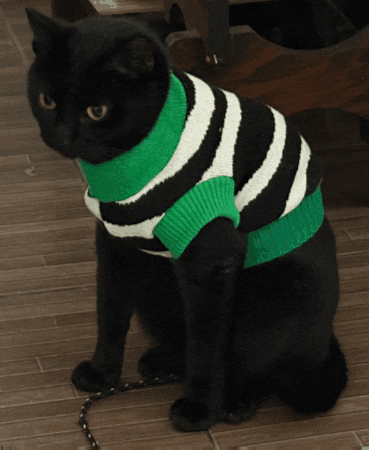 GIF by TOTVS