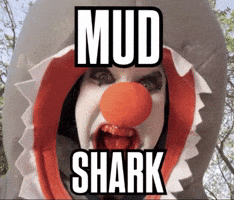 Clown Shark GIF