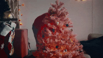 Christmas GIF by ELKO Iceland