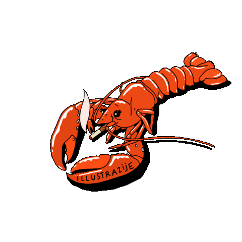 Illustration Sticker